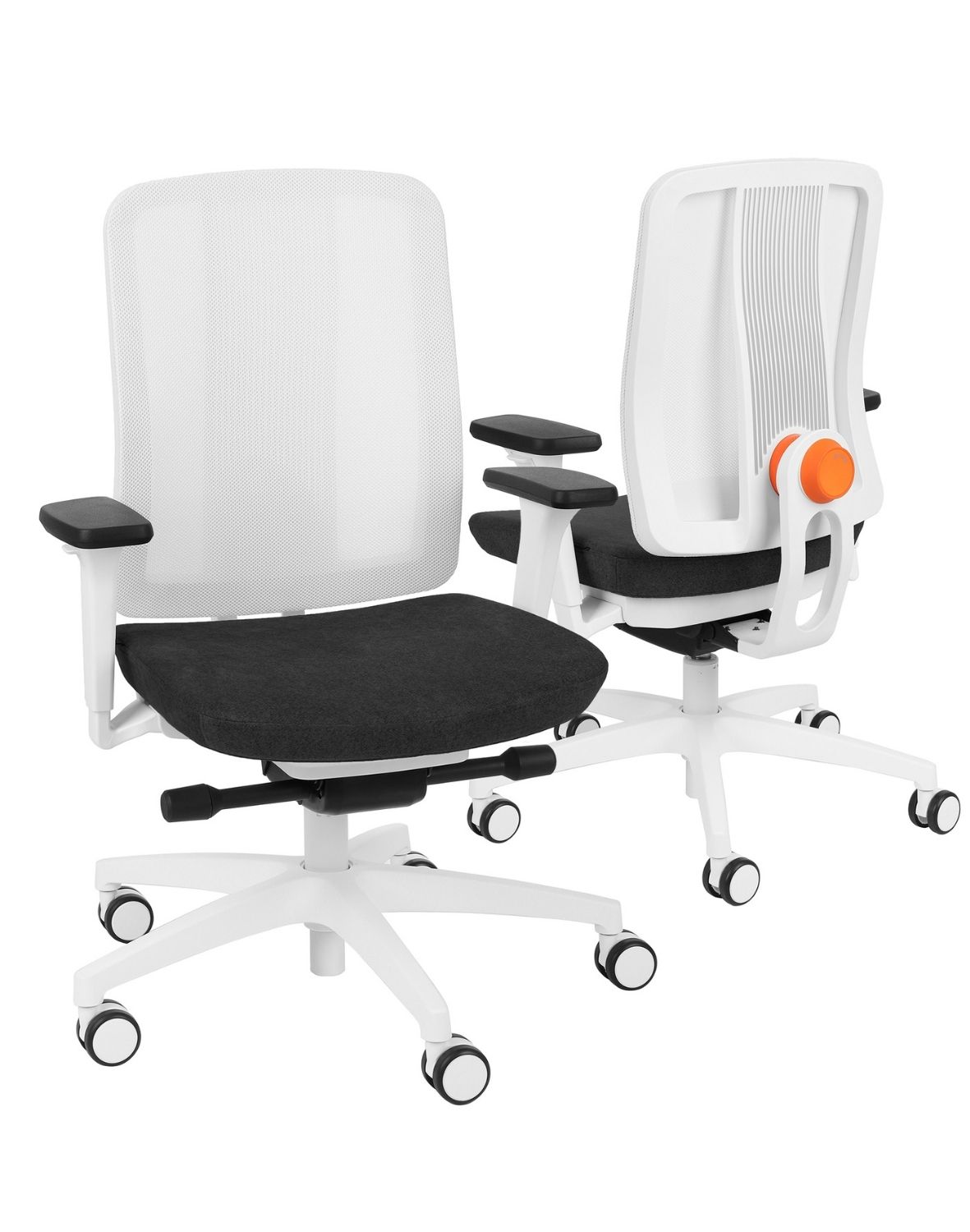 ergojunior ws white