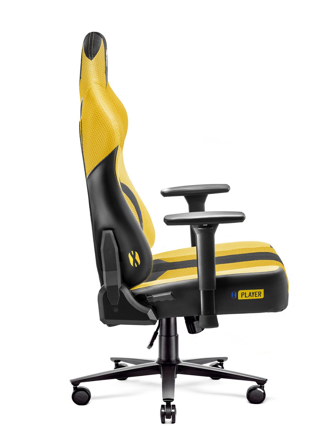 Diablo X-Player king Dark Sunflower