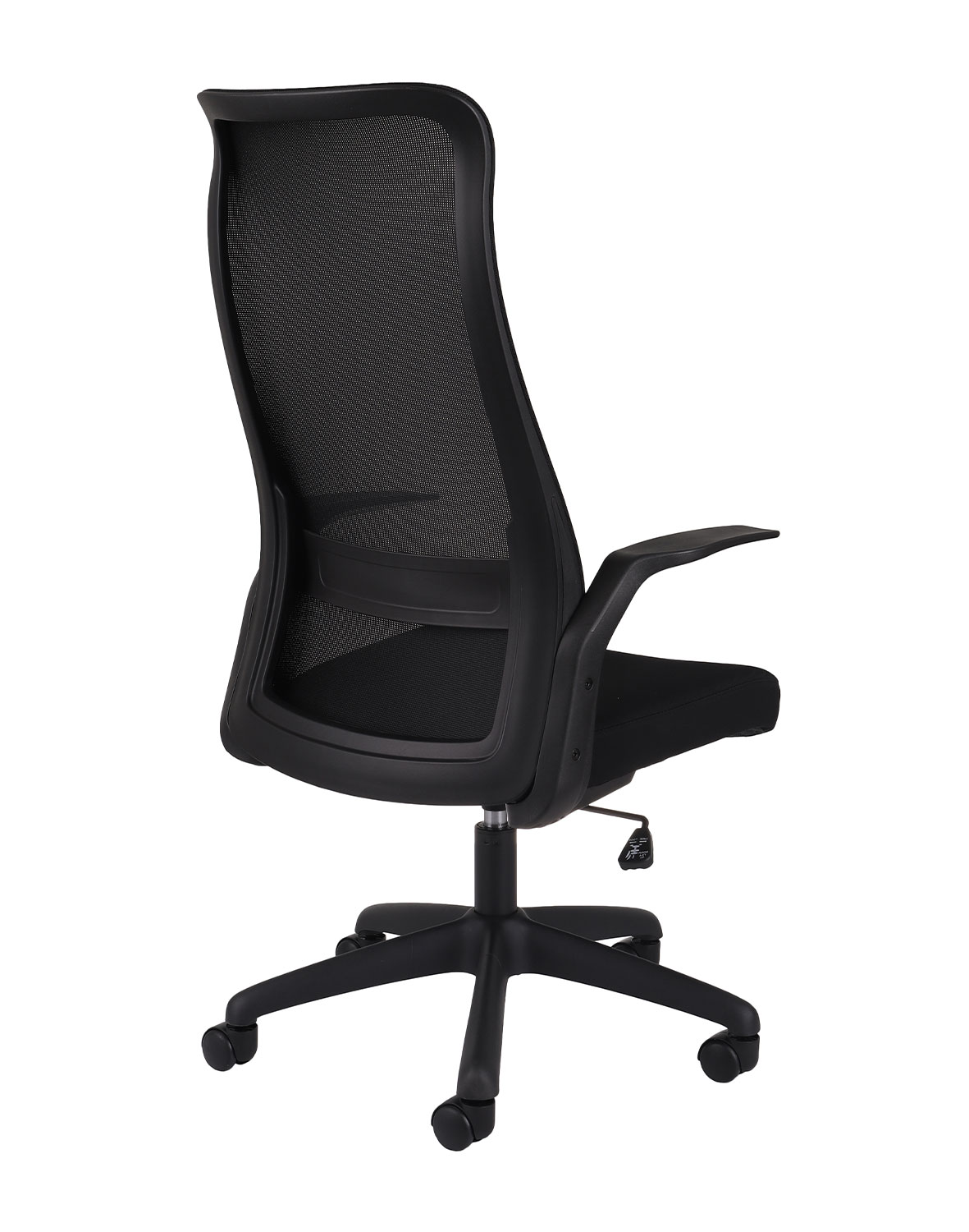 Bodo Black