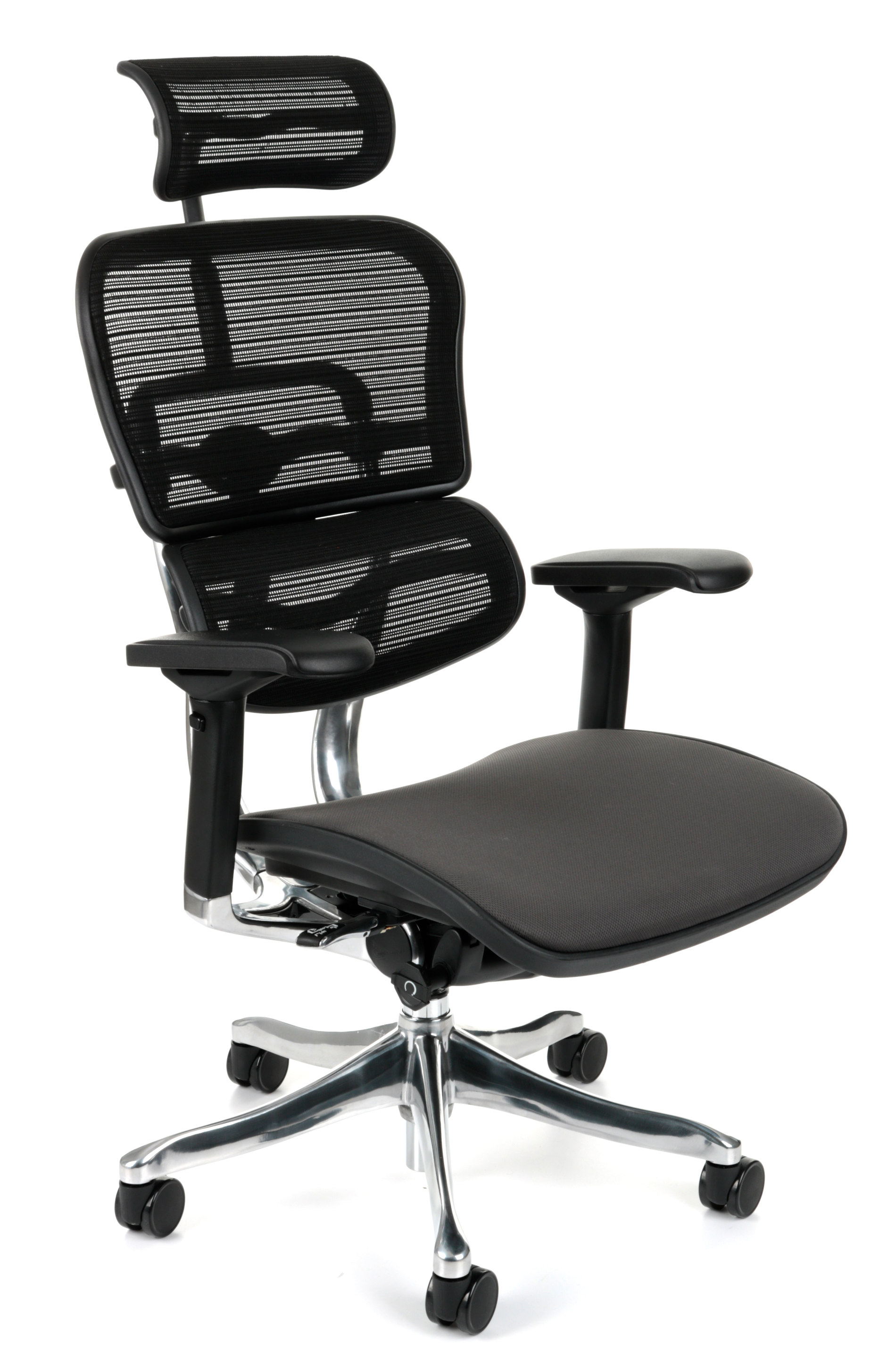 Ergohuman Plus Elite Color, Backrest: KMD31 Seat: Flex FX09