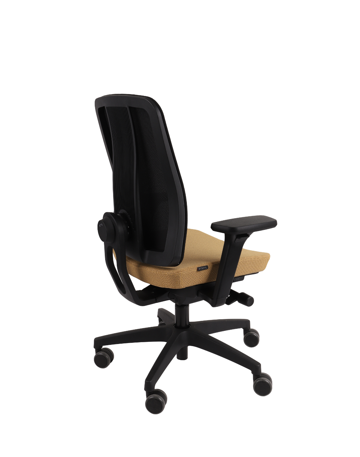 Ergojunior BS Black