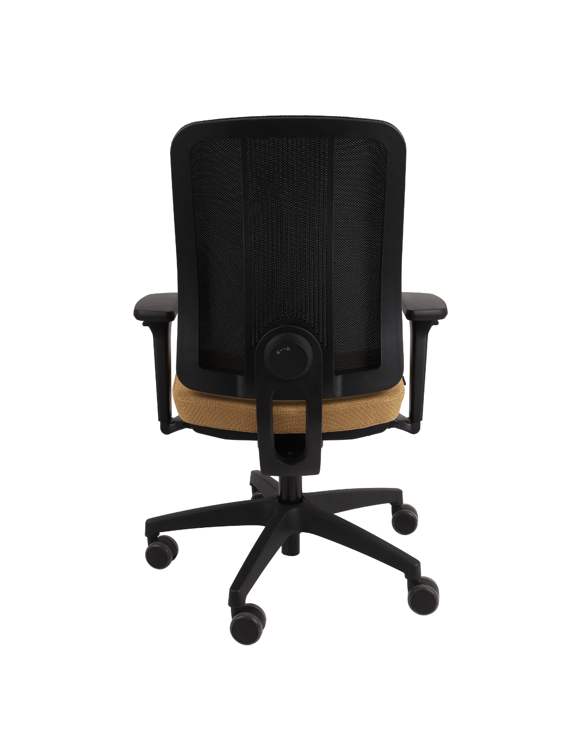 Ergojunior BS Black