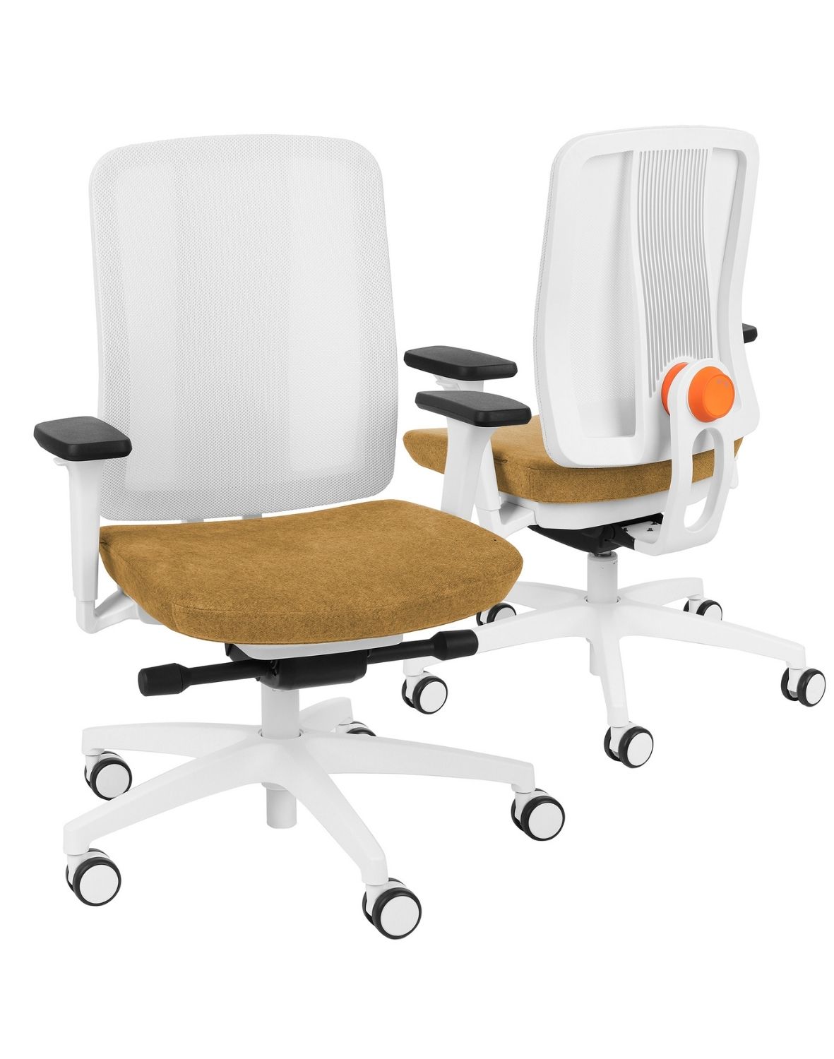 ergojunior ws white