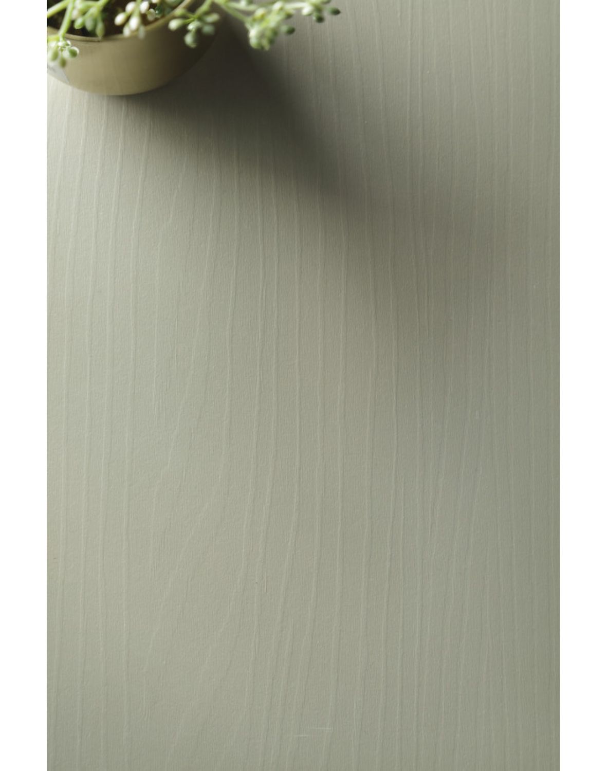 regał forest (rg80), eukaliptus