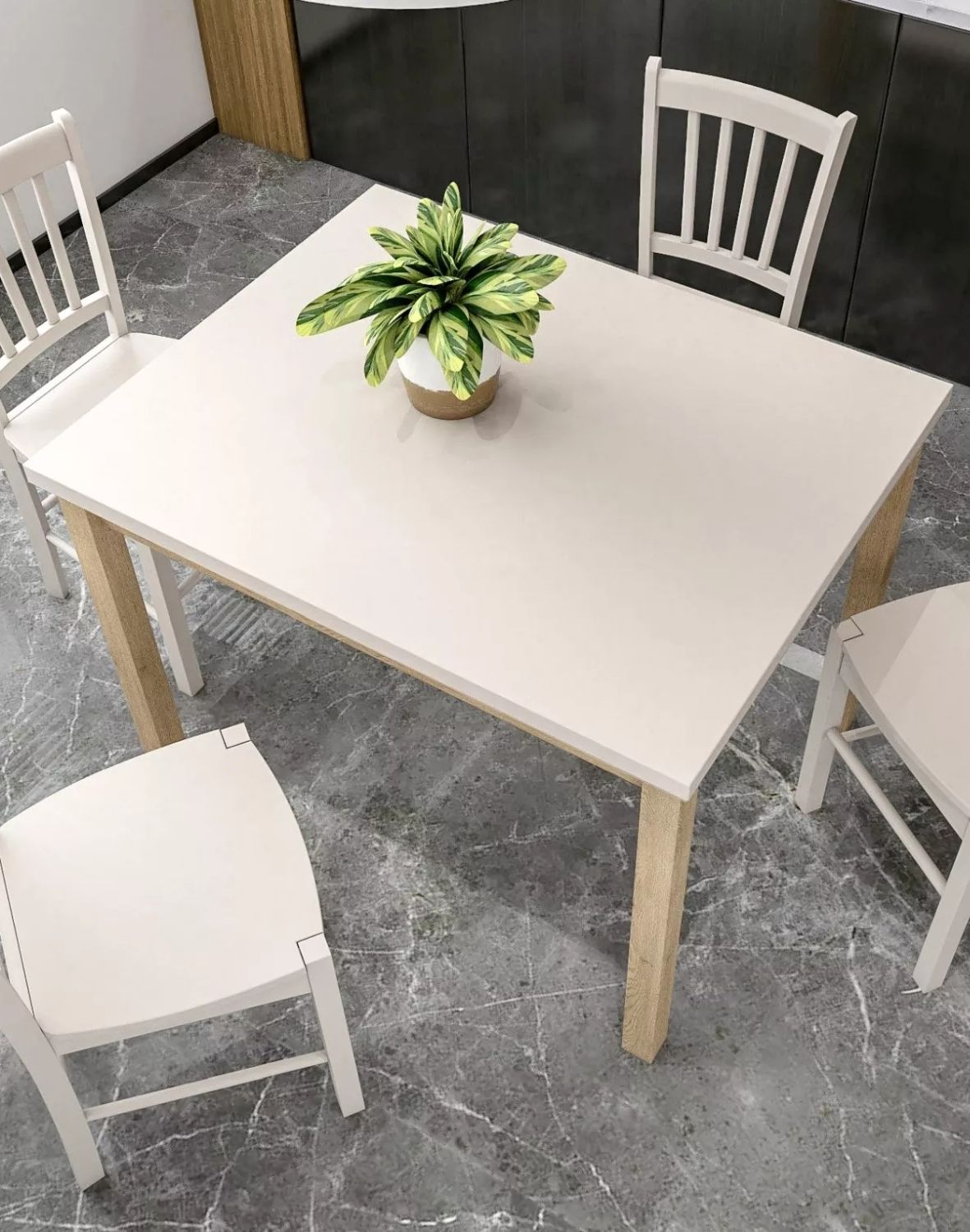 stol adam 100x60 kaszmir dab cremona